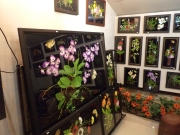 中部の高級土産、刺繍絵画